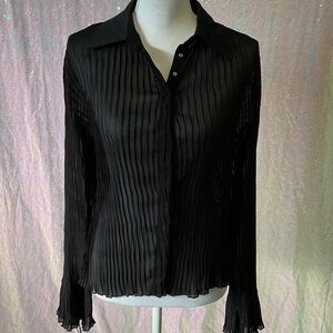 Unk Elegant Black Sheer Button Down Blouse